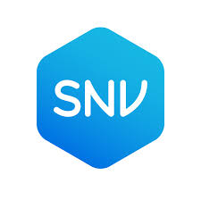 Snv logo